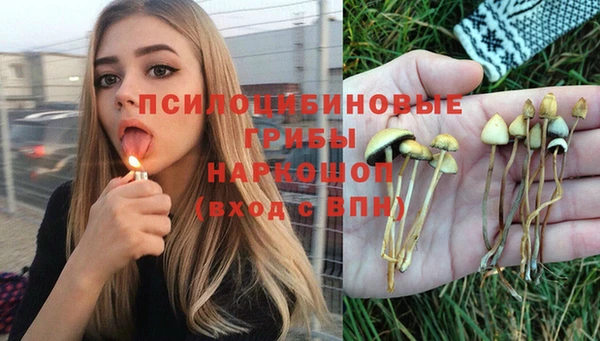 герыч Абаза
