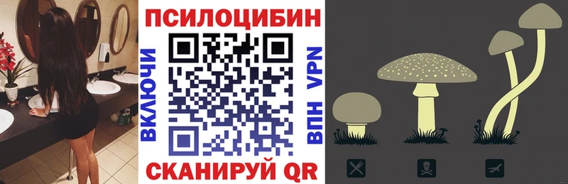 Псилоцибиновые грибы прущие грибы  закладка  Дмитровск 