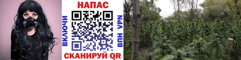цены   ОМГ ОМГ ссылка  Шишки марихуана Bruce Banner  Дмитровск 